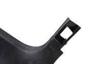 Listón embellecedor de la puerta delantera (moldura)