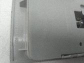 Luz del asiento delantero
