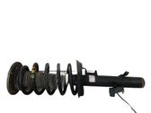 Front shock absorber/damper