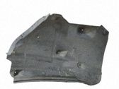 Revestimientos de la aleta antisalpicaduras delanteros