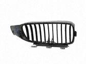 Atrapa chłodnicy / Grill