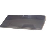 Listón embellecedor de la puerta delantera (moldura)