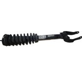 Front shock absorber/damper