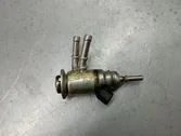 Injecteur de carburant