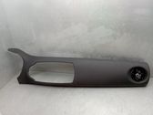 Dashboard trim