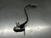 AdBlue injector