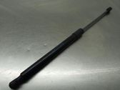 Tailgate/trunk strut/damper