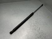 Tailgate/trunk strut/damper
