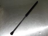 Tailgate/trunk strut/damper