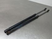 Tailgate/trunk strut/damper