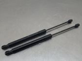 Tailgate/trunk strut/damper