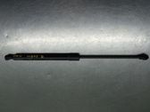 Tailgate/trunk strut/damper