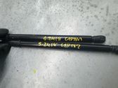 Tailgate/trunk strut/damper