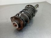 Front shock absorber/damper