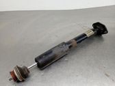 Rear shock absorber/damper