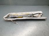 Roof airbag