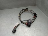 Other wiring loom