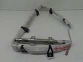 Roof airbag
