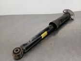 Rear shock absorber/damper