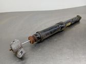 Rear shock absorber/damper