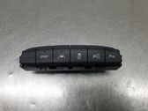 Multifunctional control switch/knob