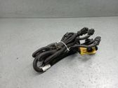 Other wiring loom