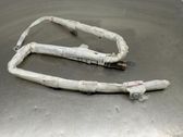 Airbag de toit