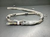 Airbag del techo