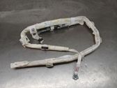 Airbag del techo