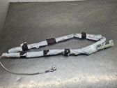 Airbag del techo