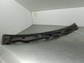 Moldura del limpia