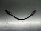 Lambda probe sensor