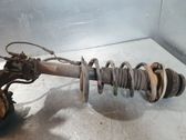 Front shock absorber/damper