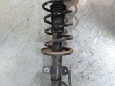 Front shock absorber/damper