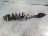 Rear shock absorber/damper