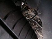 Front control arm
