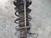 Front shock absorber/damper