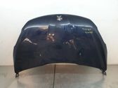 Engine bonnet/hood