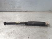 Rear shock absorber/damper