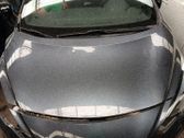 Engine bonnet/hood
