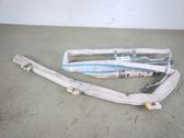 Airbag del techo