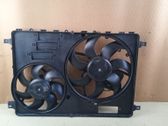 Air conditioning (A/C) fan (condenser)