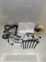 Fuel injection system set