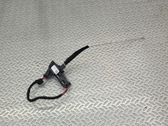 Rear door interior light