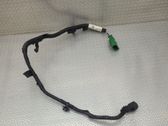Other wiring loom