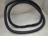 Rear door rubber seal (on body)