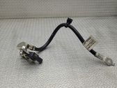 Negative earth cable (battery)