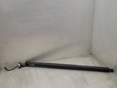 Tailgate/trunk strut/damper