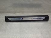 Front sill trim cover