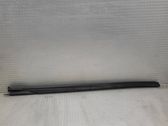 Windshield trim